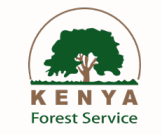 KENYA FOREST SERVICE